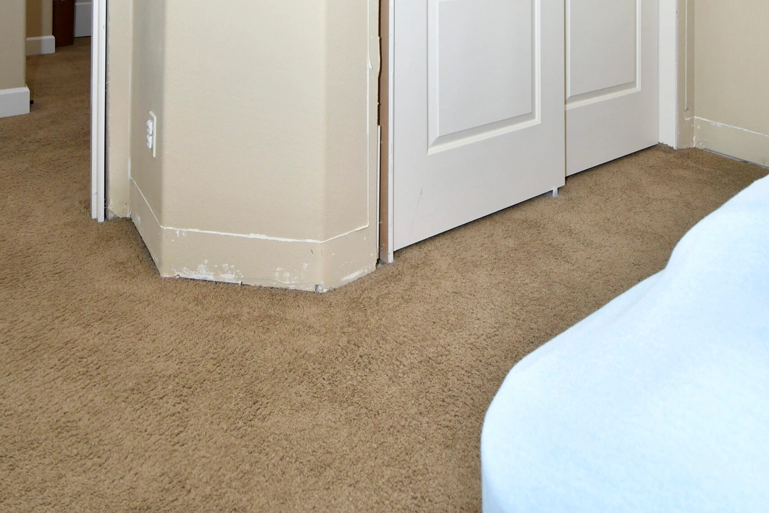 Beige carpeted bedroom floor by closet