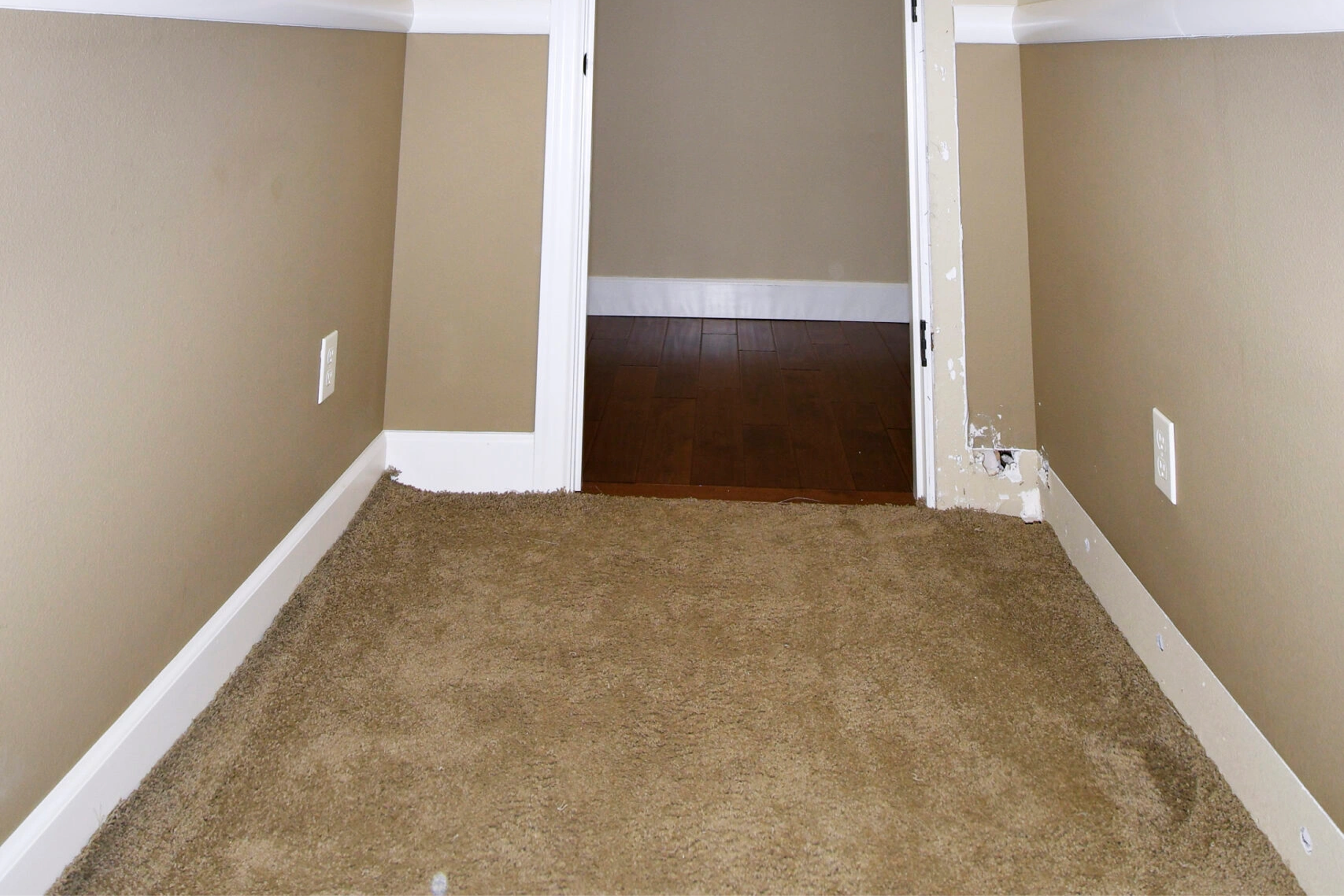 Empty beige carpeted room with hardwood doorway